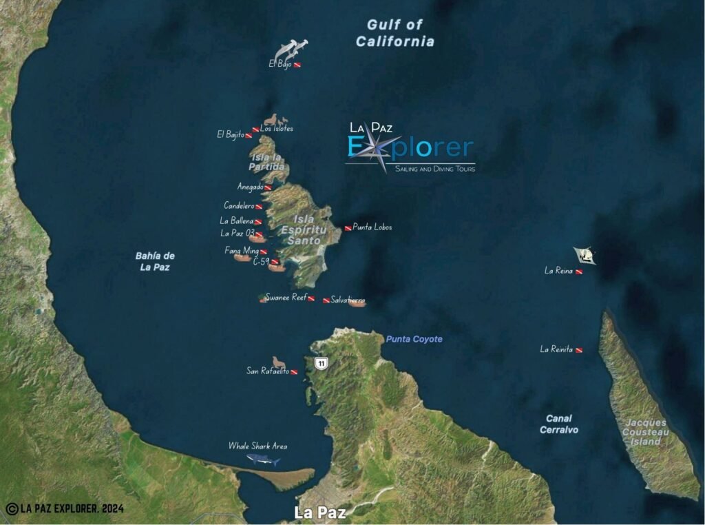 dive sites in la paz