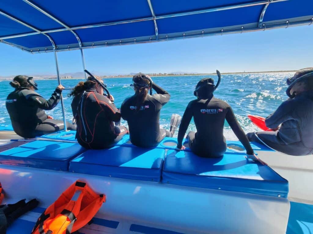 tour de nado con tiburones ballena tour de nado con tiburones ballena en La Paz